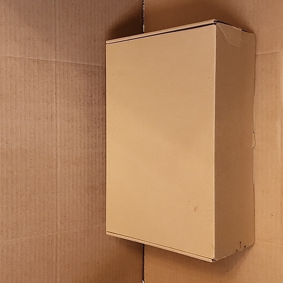 Nike Pegasus 40 (Clemson) - Picture 5 of 14